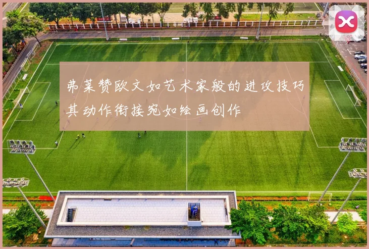 弗莱赞欧文如艺术家般的进攻技巧其动作衔接宛如绘画创作