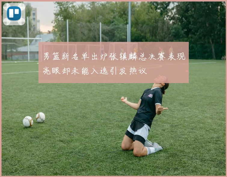 男篮新名单出炉张镇麟总决赛表现亮眼却未能入选引发热议
